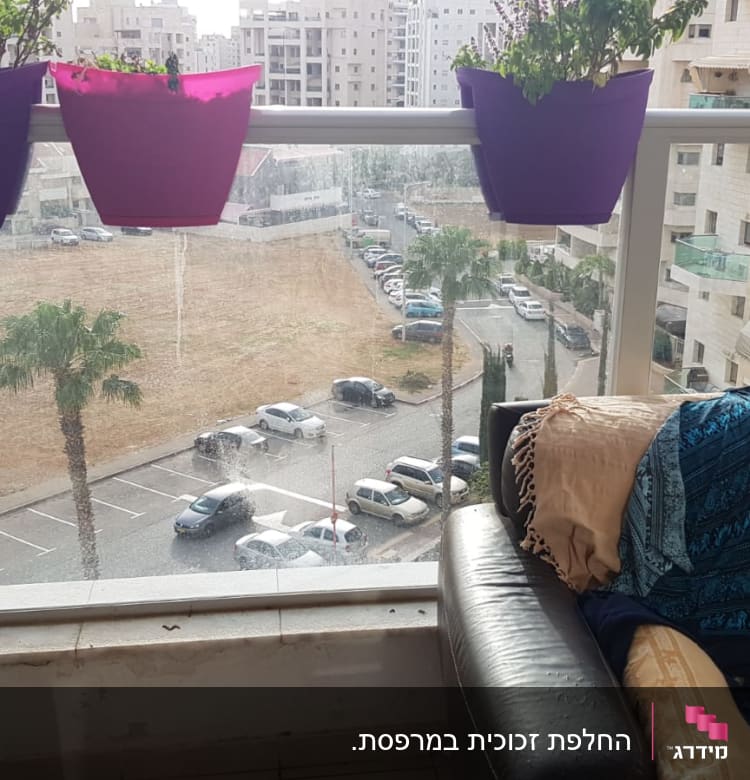 חלון זכוכית גדול עם עציצים תלויים